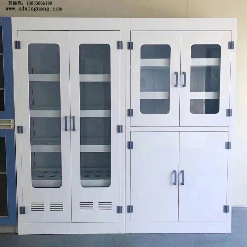 山東實驗室家具pp試劑柜器皿柜實驗室安全柜